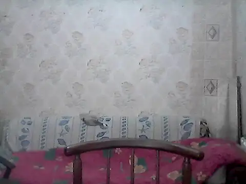 Snapshot of NatalieNorth chatting on 02-27-26, 10:20 NatalieNorth online show from 02-27-26, 10:20