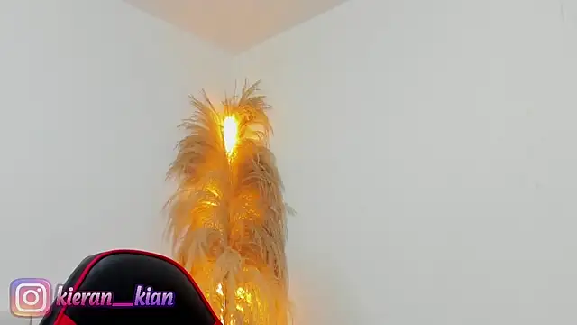 Kieran kian online show from 04-19-26, 03:57