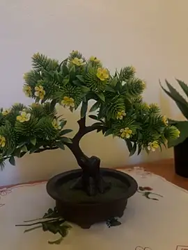 Michel huge online show from 12-18-25, 06:07