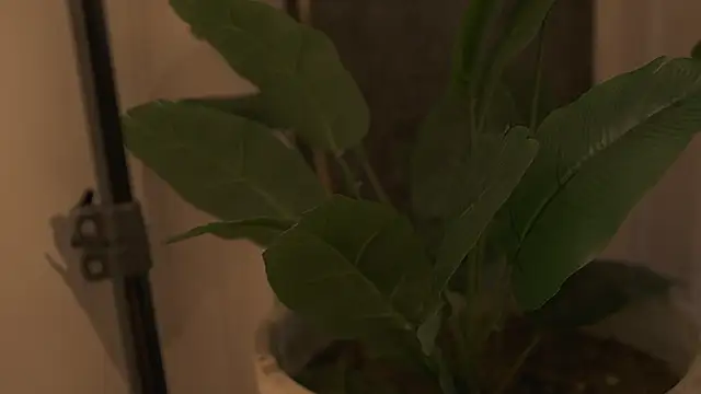 Ariaa Isabell online show from 09-12-25, 06:29