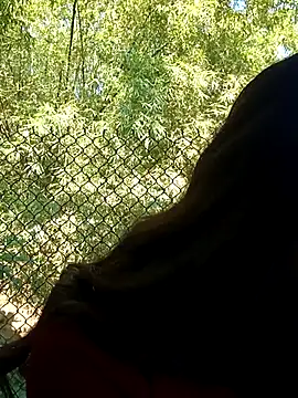 dimny sex online show from 11-28-25, 03:17