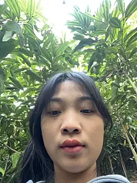 Phayphay77 online show from 11-25-25, 01:06