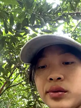 Phayphay77 online show from 11-17-25, 02:48