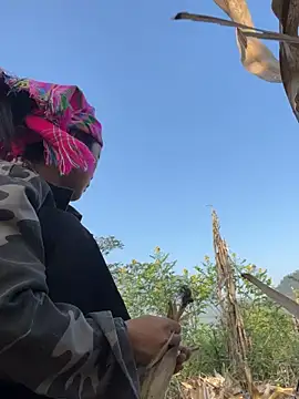 Phayphay77 online show from 11-15-25, 08:18