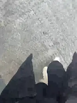 xiao-mo520 online show from 03-03-26, 07:26