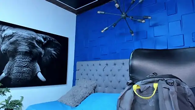 andres-clark92 online show from 02-11-26, 04:51