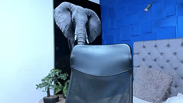 andres-clark92 online show from 10-27-25, 06:31