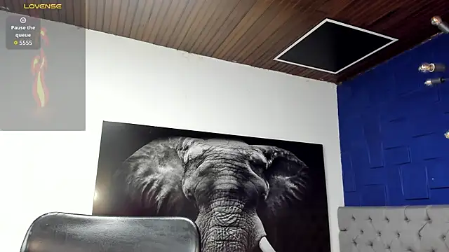 andres-clark92 online show from 04-08-26, 05:47