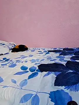 Snapshot of tharki-anand chatting on 02-27-26, 06:52 tharki-anand online show from 02-27-26, 06:52