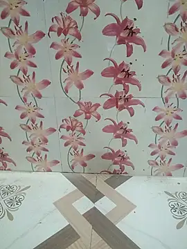 Snapshot of Meenaksi-singh chatting on 10-04-25, 05:20 Meenaksi-singh online show from 10-04-25, 05:20