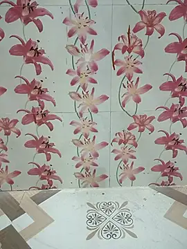 Snapshot of Meenaksi-singh chatting on 10-12-25, 03:02 Meenaksi-singh online show from 10-12-25, 03:02