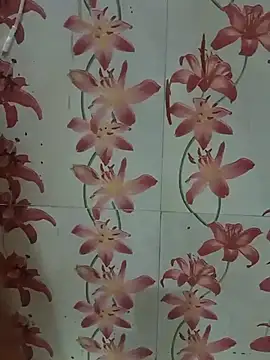 Snapshot of Meenaksi-singh chatting on 09-13-25, 07:03 Meenaksi-singh online show from 09-13-25, 07:03