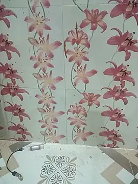 Snapshot of Meenaksi-singh chatting on 10-01-25, 07:40 Meenaksi-singh online show from 10-01-25, 07:40