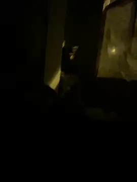 lDarkGreyl online show from 10-23-25, 01:48