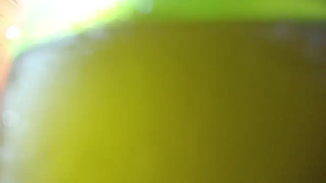 bloom bbc online show from 10-24-25, 01:10