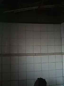 FeeingSplicing online show from 03-20-26, 04:19