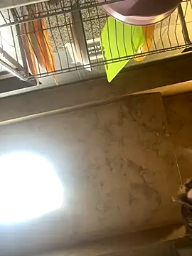 Anyssia online show from 12-01-25, 05:08