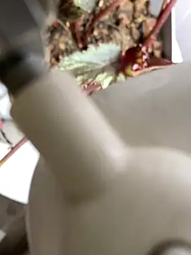 Snapshot of Jonny_Agatha chatting on 03-03-26, 12:34 Jonny Agatha online show from 03-03-26, 12:34