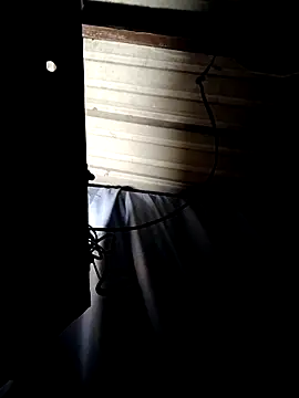 ShawnandDani7074 online show from 04-14-26, 07:46