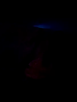 Snapshot of Ravi8879 chatting on 09-24-25, 07:04 Ravi8879 online show from 09-24-25, 07:04