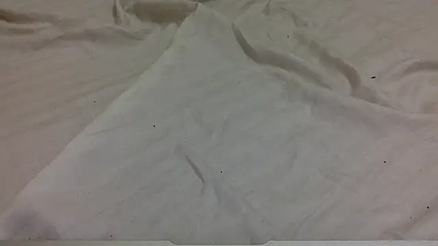 tutu101 online show from 01-15-26, 12:52