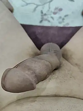 Snapshot of cenk263 chatting on 11-29-25, 03:23 cenk263 online show from 11-29-25, 03:23