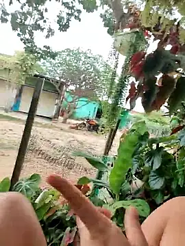 Lily-o online show from 12-16-25, 03:16