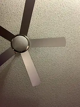 Snapshot of Triggerhappycj100 chatting on 02-24-26, 08:48 Triggerhappycj100 online show from 02-24-26, 08:48