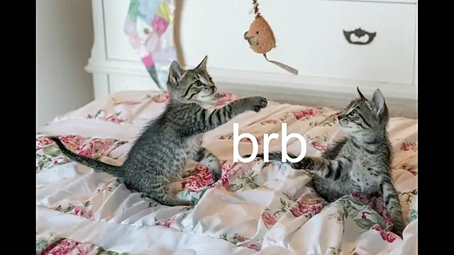 Pink girl0n online show from 10-19-25, 08:44