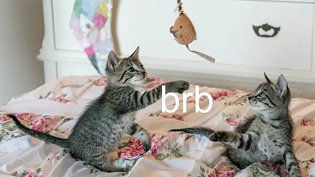 Pink girl0n online show from 03-18-26, 09:48