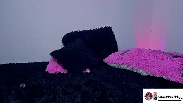 celestte evans 1 online show from 03-16-26, 03:47