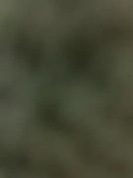 Chocobite9991 online show from 05-23-26, 02:49
