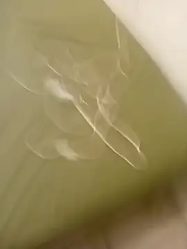 lameraverja123 online show from 11-08-25, 11:08