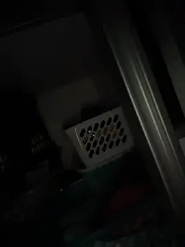 raynstars online show from 11-16-25, 12:37