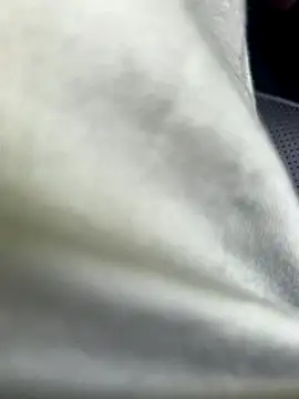 Snapshot of Zoro404040 chatting on 09-16-25, 08:48 Zoro404040 online show from 09-16-25, 08:48