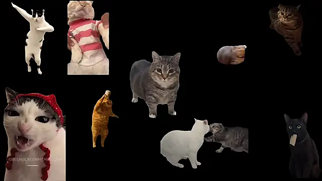 Snapshot of ch0wn_m chatting on 10-24-25, 10:47 ch0wn m online show from 10-24-25, 10:47