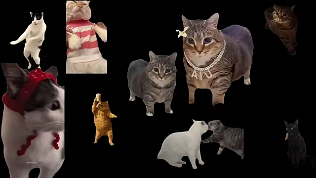 ch0wn m online show from 11-19-25, 12:38