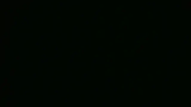 Snapshot of ch0wn_m chatting on 09-18-25, 01:14 ch0wn m online show from 09-18-25, 01:14