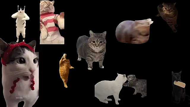 ch0wn m online show from 11-17-25, 10:52