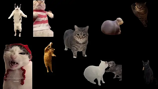 ch0wn m online show from 11-14-25, 01:15