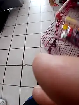 cicinha3657 online show from 02-20-26, 06:32