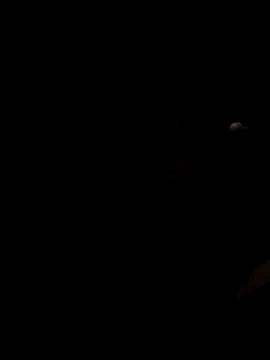 Lujor online show from 11-28-25, 02:23