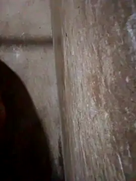 Lujor online show from 03-13-26, 11:43