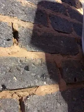 cuminsidebby online show from 02-14-26, 06:19