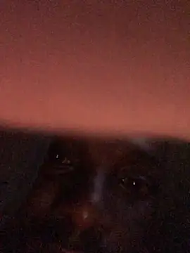 cuminsidebby online show from 04-17-26, 04:15