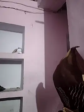 sexykrisha online show from 11-15-25, 03:32