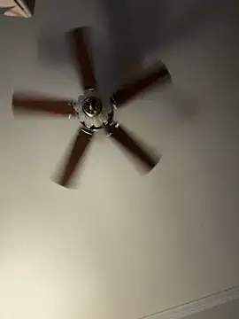 bb empress online show from 12-01-25, 09:43