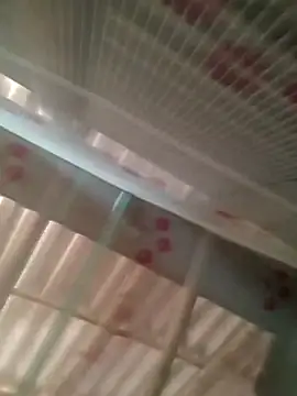 Rohit4500 online show from 12-19-25, 02:26