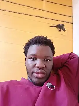 niccobigd online show from 05-24-26, 01:22