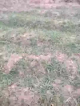 Snapshot of sonotutto chatting on 10-12-25, 05:58 sonotutto online show from 10-12-25, 05:58